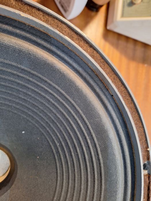 VITAVOX 12" vintage Alnico speaker