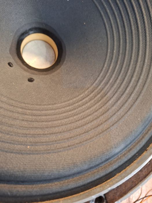 VITAVOX 12" vintage Alnico speaker